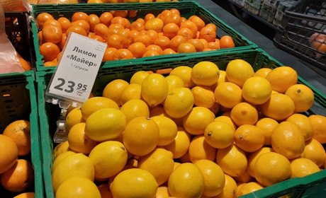 Ціна дня: цікавимося цінами на натуральні вітаміни в різних місцях Южного (ФОТО)