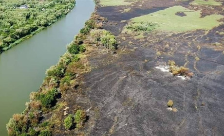 Плавні поруч з Біляївкою ще горять, але незначними осередками: яка ситуація станом на 17 серпня