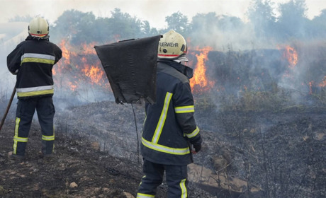 В Одесі відкритим полум’ям горіли поля фільтрації на 20 000 м2: ліквідація пожежі була складна