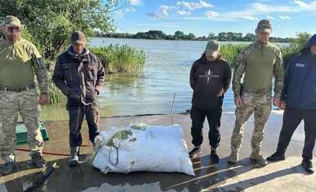 Ізмаїльські прикордонники викрили водійку з севрюгою у багажнику та браконьєрів із лососем