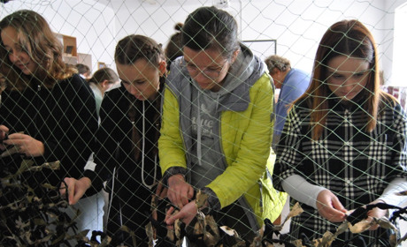 Неодноразова акція. Городоцькі ліцеїсти плетуть маскувальні сітки для захисників України