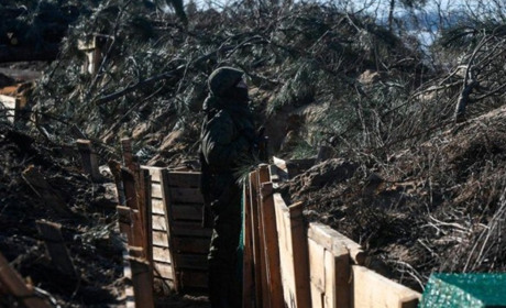 Деревина для війська. Чернігівщина відвантажила на потреби оборони лісоматеріали