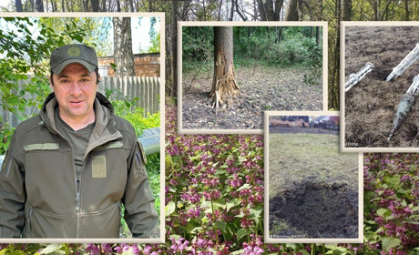 Збираємо жолуді, зберігаємо ліс, рятуємо людей і все це - під час війни