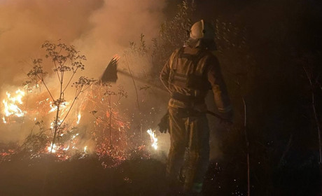 Із початку вересня на Глухівщині 25 разів горіла суха трава – ДСНС