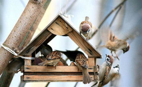 Как провести в Мелитополе выходные 16-17 февраля