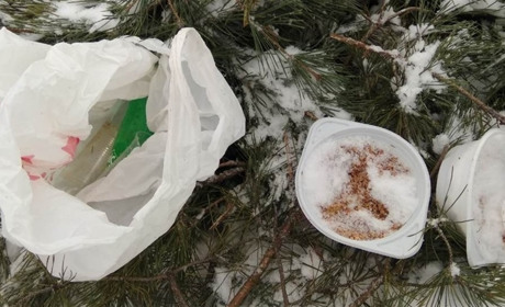 В сети появились фото беспорядка после купания на Анненском пруду