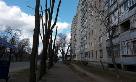 «Старшие по дому» - вне закона. Кто озаботится жильцами?