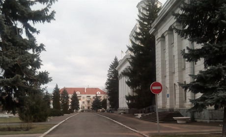 Ялинки, Водохреща і ковід