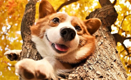 Нарешті потеплішає! Що жителям Білопільщини прогнозують синоптики у найближчі дні?