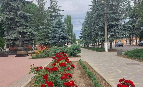 У Біляївській громаді буде двомісячник з благоустрою: що потрібно зробити мешканцям і підприємцям