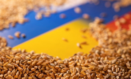 В Україні та світі відреагували на заяву росії про розірвання "зернової угоди": хроніка 29 жовтня