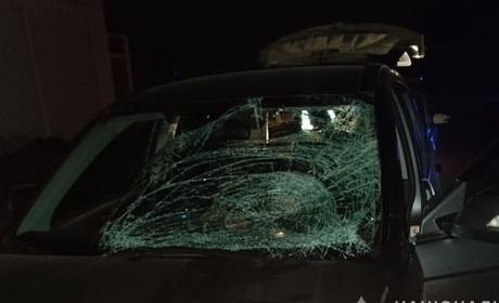 У Шостці насмерть збили пішохода, водій автівки втік з місця злочину