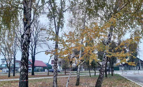 Погода на 28 жовтня