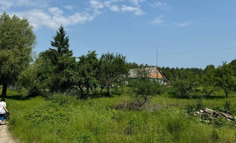 В селі Адамівка на Звягельщині проживає лише дві родини