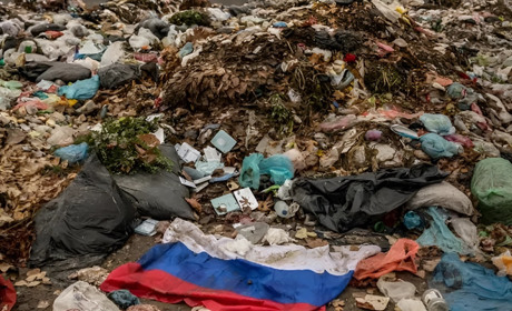 Після деокупації. На Луганщині затвердили план дій із боротьби зі шкідниками та сміттєзвалищами
