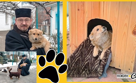 Патрон на "ротації"