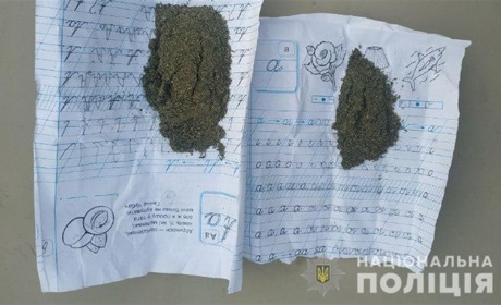На Рівненщині під вартою перебуває збувач канабісу зі Славутчини
