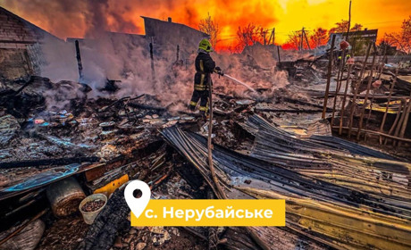 У Нерубайському внаслідок пожежі у домогосподарстві загинуло стадо свиней, господаря врятували