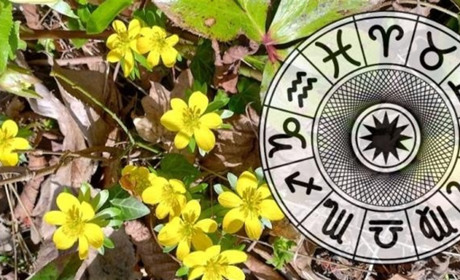 Гороскоп на тиждень з 9 по 15 березня 2026 року: що зірки нам приготували