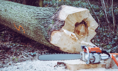 У Сватовому загинув чоловік, коли машиною вивозив дрова з лісу