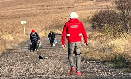 Для переходу в Україну через Колотилівку відтепер потрібні документи на тварин