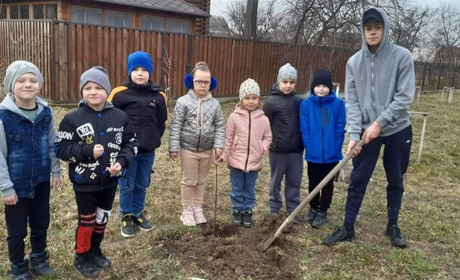 У Фастівській громаді висадили 514 дерев та 330 кущів в рамках проекту «Дерева Перемоги»