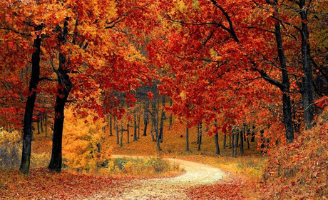 22 вересня: день осіннього рівнодення і народний календар