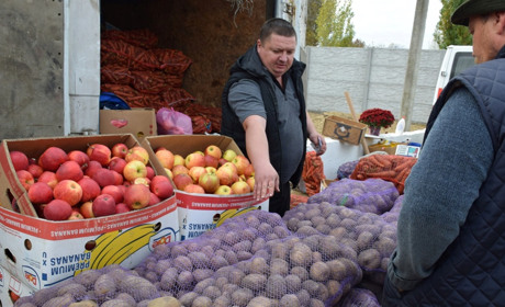 Ярмарок у Біляївці: він буде сільськогосподарській і благодійний, з продажем вертут і глінтвейну