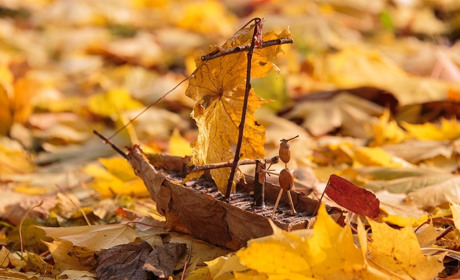 Как провести в Мелитополе и Мелитопольском районе выходные дни 2-3 ноября