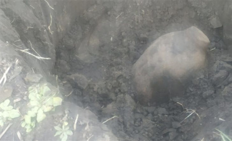 У Миколаївці виявлені боєприпаси часів Другої Світової війни