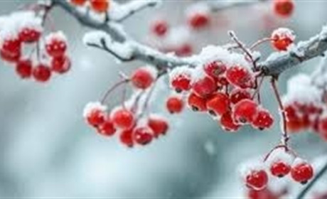 Радіаційний стан навколо Хмельницької АЕС за минулий тиждень