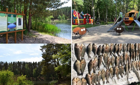 У сусідів: дитячий майданчик, екостежка, шахрайство та браконьєрство