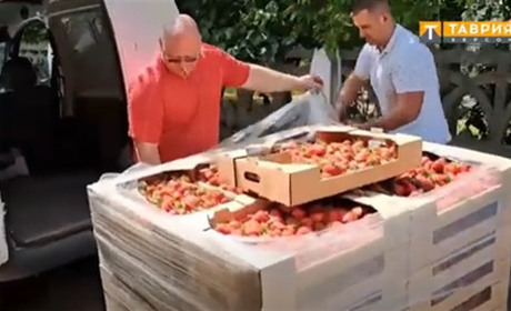 Полуницю з Нової Каховки везуть у Рязань