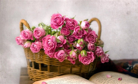 Травневий календар 2025: визначні дні, державні та релігійні свята