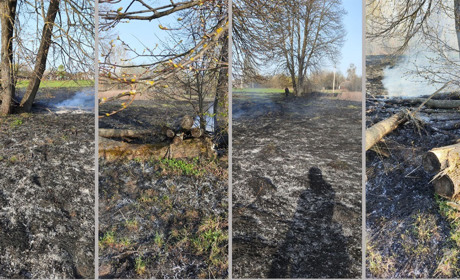 У Ворожбі горіла суха трава: яка відповідальність загрожує паліям сухостою