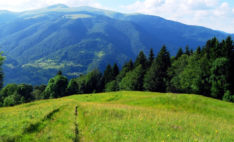 Подорожуємо Карпатами: подаруйте собі незабутню мандрівку та позитивні емоції