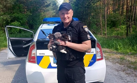 Кожне життя важливе: у Нетішині поліцейські врятували трьох кошенят