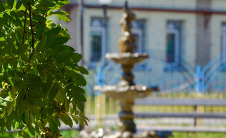 Тест про деталі Сватового. Вгадайте по маленькому фрагменту, яка будівля зображена на фото