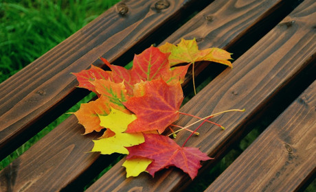 Якою буде погода у Сватовому і районі у перший тиждень листопада 2020: прогноз з 2 по 8 листопада