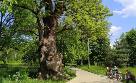 Освітньо-культурний фестиваль «Гончаренко центр Weekend» 13 червня відбудеться у Лужанах