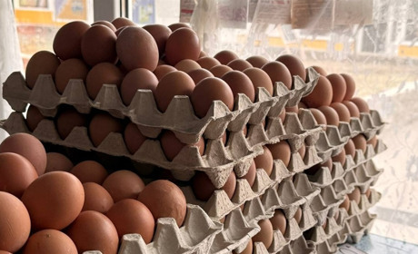 Яйця знову дорожчають: за рік — понад 30%