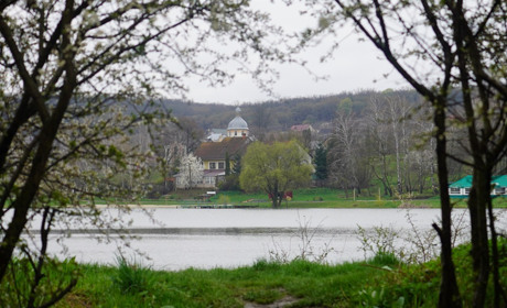 Весна у Городку. Городок.City зробив підбірку фото квітучих дерев та закоханих лебедів (ФОТО)