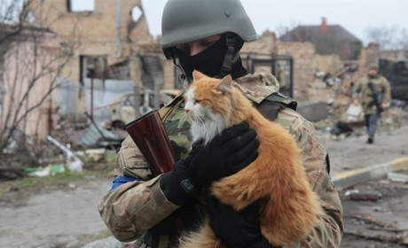 Британська розвідка повідомляє: ЗСУ досягли певних успіхів у контратаці на Херсонщині