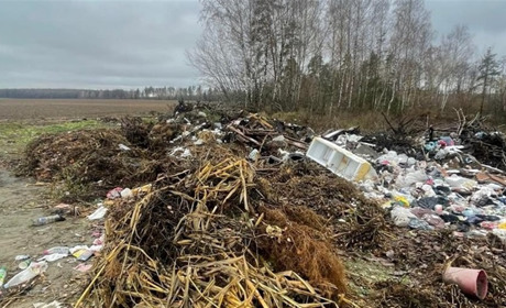 Поблизу Звягеля виявили три стихійні сміттєзвалища: Держекоінспекція