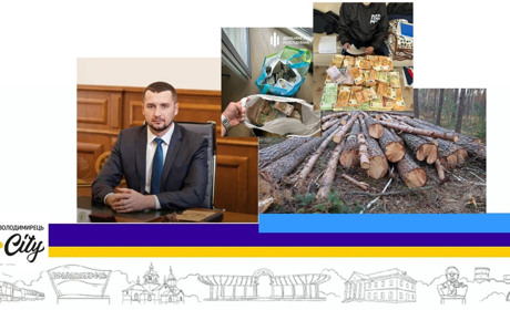 На Рівненщині звільняють усіх керівників лісгоспів одночасно. У чому суть?