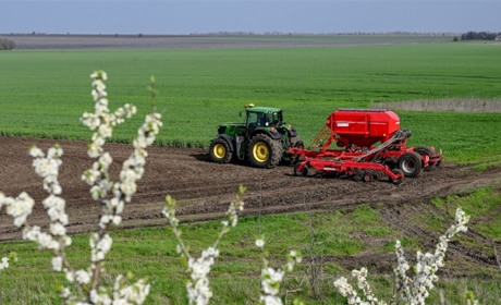 Українські аграрії засіяли вже 43% площ: лідирують Полтавщина, Одещина та Київщина