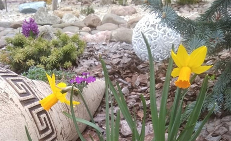 Родина з Первомайська перетворила смітник на мініпарк. Відео