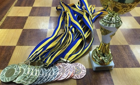 Братик - чемпіон, а сестричка – призерка: калинівчани здобули нагороди на чемпіонаті області