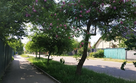 Дощі та спека: якою буде погода на Гадяччині протягом тижня