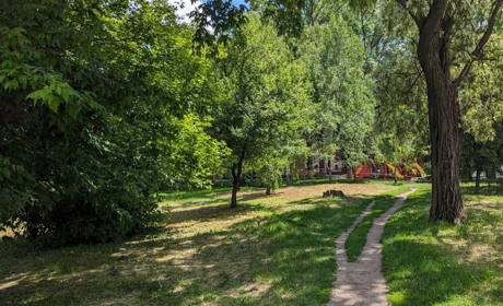 Погода на тиждень – у Гадячі буде хмарно та пройдуть грозові дощі